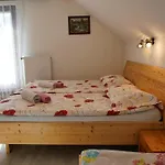 Apartmaji Jost Bohinj