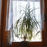 Apartmaji Jost Lägenhet *