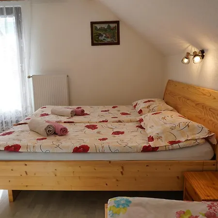 Apartmaji Jost Бохинь