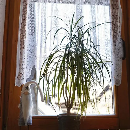 Apartmaji Jost Appartamento *