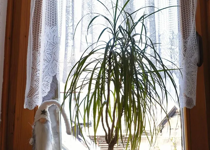 Apartmaji Jost Appartamento *